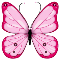 a pretty pink butterfly